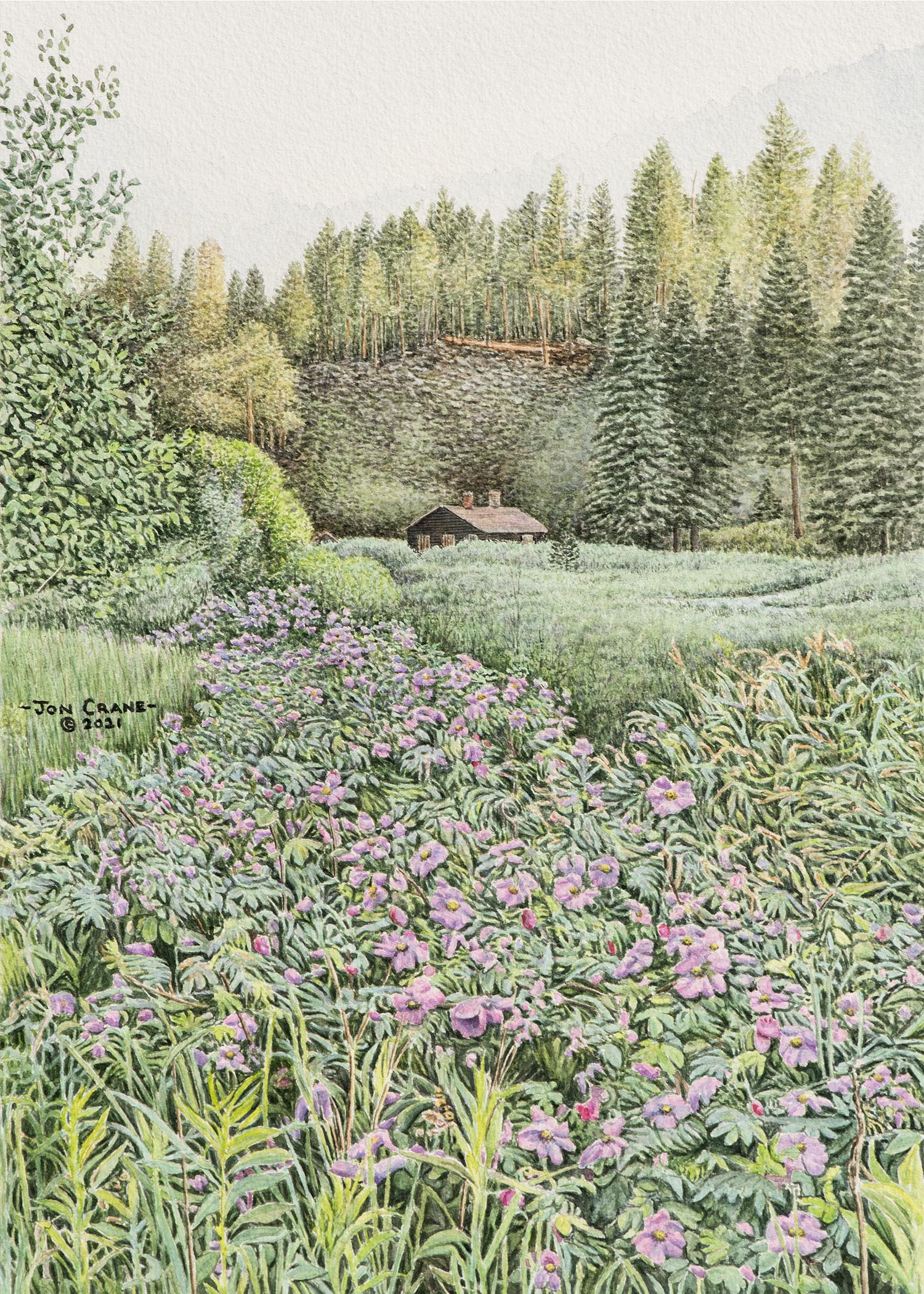 Trail of Roses by Jon Crane -- Fine Art Watercolors