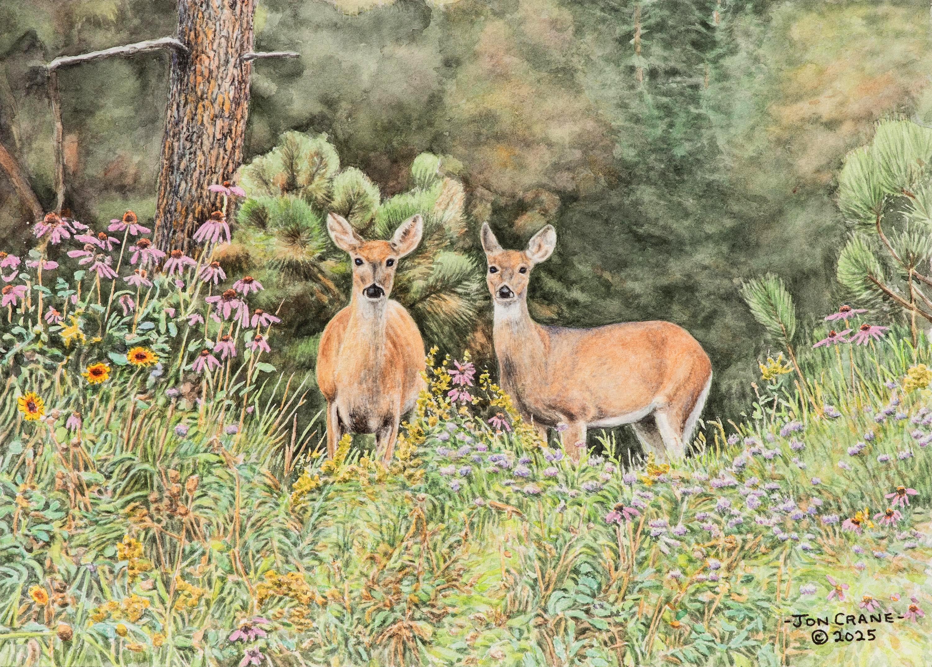SHARING NATURE'S BOUNTY by Jon Crane -- Fine Art Watercolors