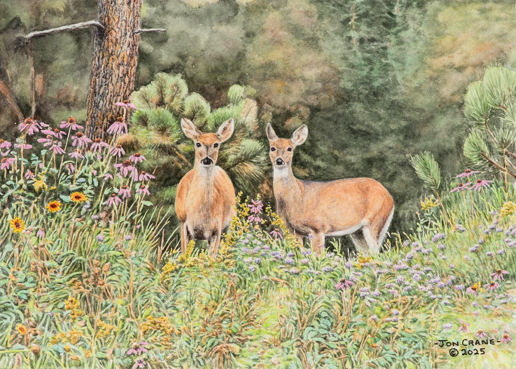 SHARING NATURE'S BOUNTY by Jon Crane -- Fine Art Watercolors