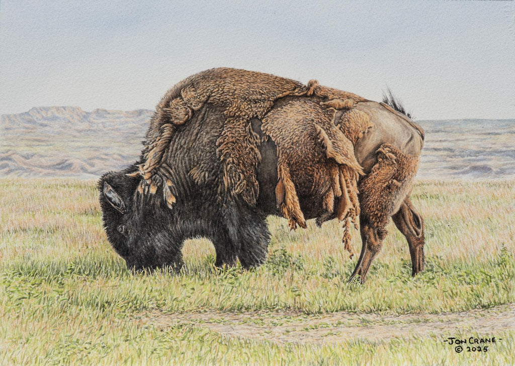 SACRED CIRCLE OF LIFE by Jon Crane -- Fine Art Watercolors